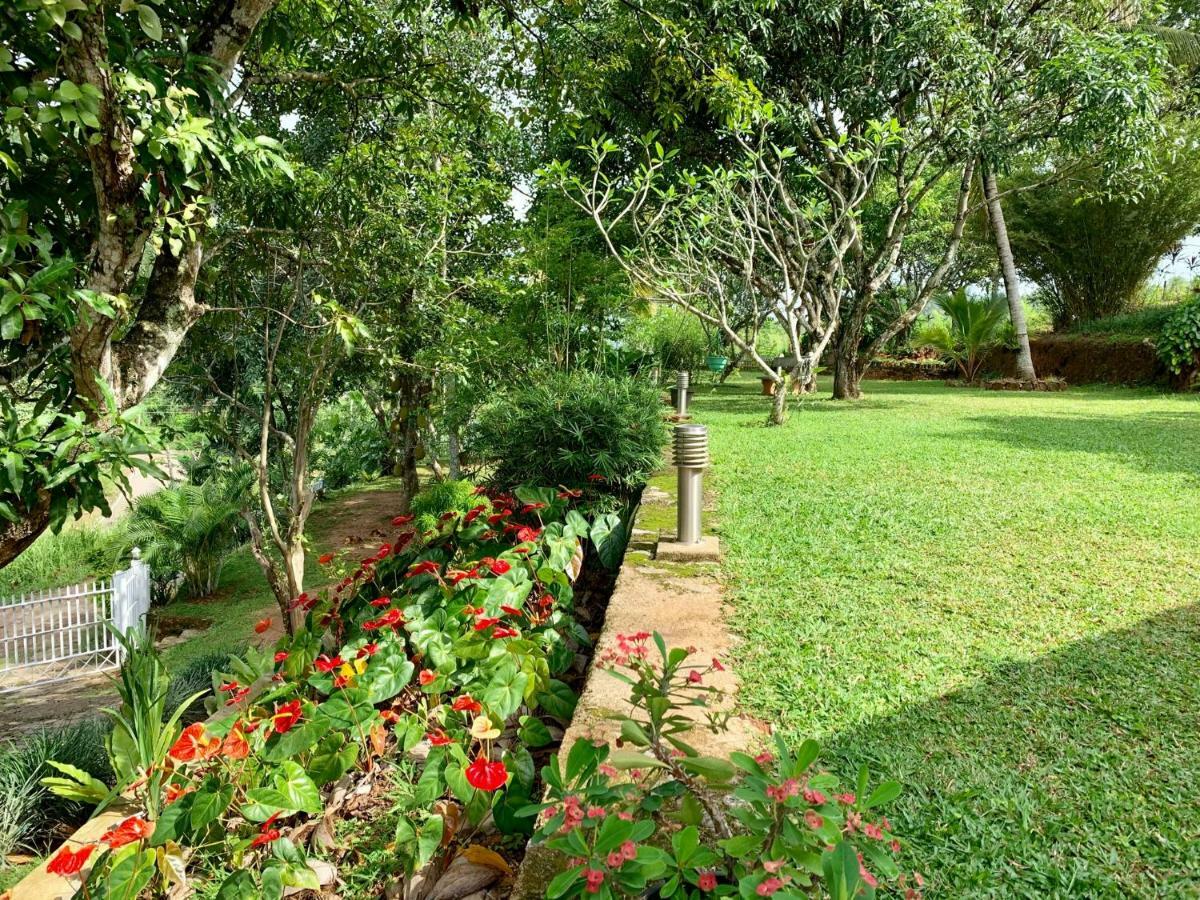 Amandari Holiday Villa Gelioya Exterior photo