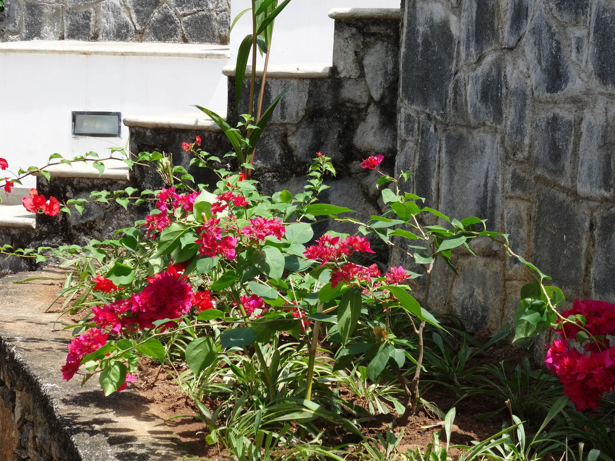 Amandari Holiday Villa Gelioya Exterior photo